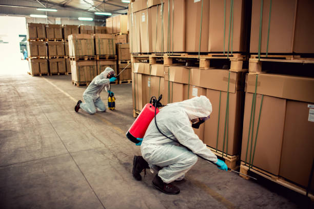 Best Best Pest Control Companies  in Braddock Heights, MD