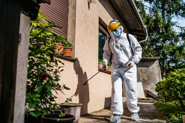Best Pest Control Near Me  in Braddock Heights, MD