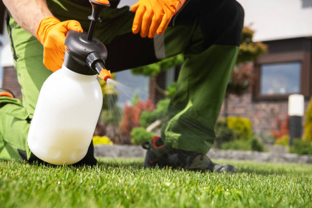Best Local Pest Control Services  in Braddock Heights, MD