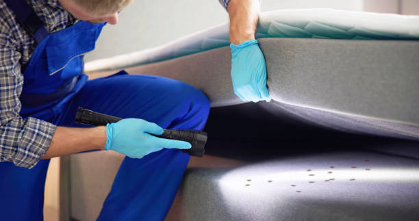 Trusted Braddock Heights, MD Pest Control Experts